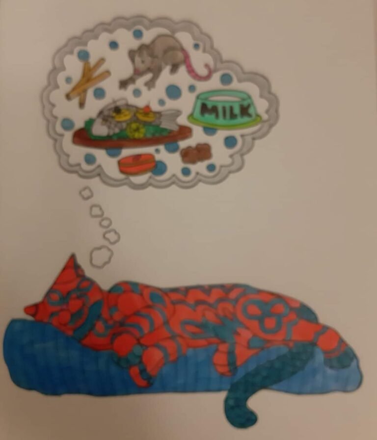 Kitty dreams