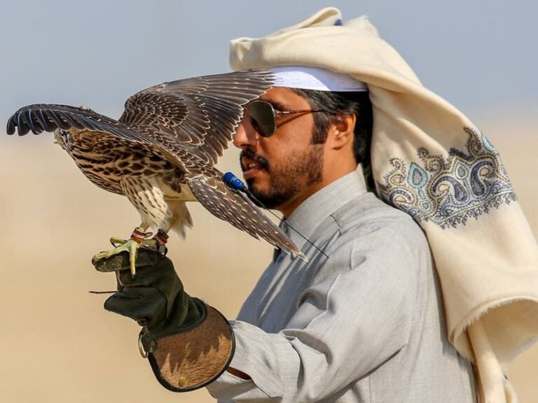 Qatar’s Biggest Falcon Festival Begins